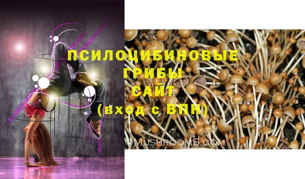 амф Алзамай