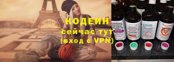 молекула духа Арсеньев