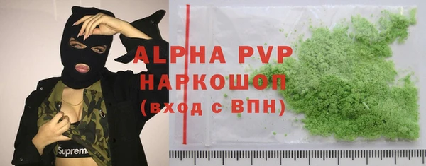 стафф Алексин