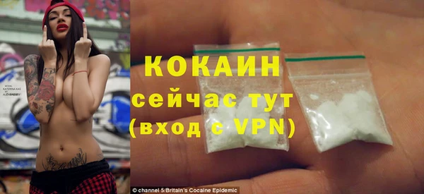 стафф Алексин