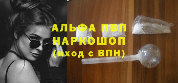 стафф Алексин