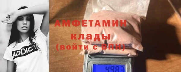молекула духа Арсеньев