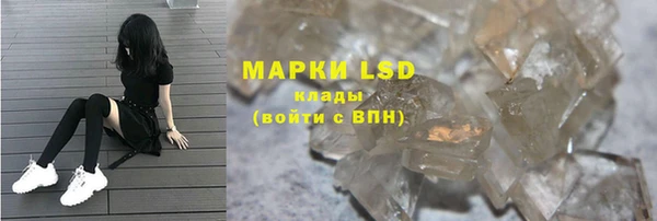 мяу мяу мука Аркадак