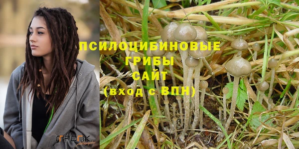 мяу мяу мука Аркадак